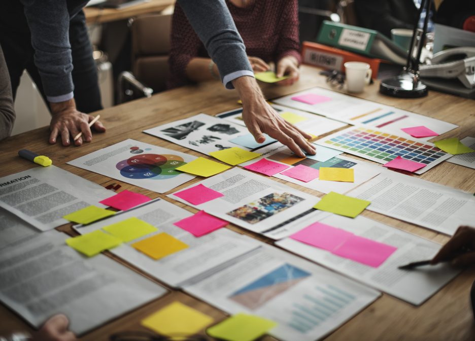 Business Plan & Projections